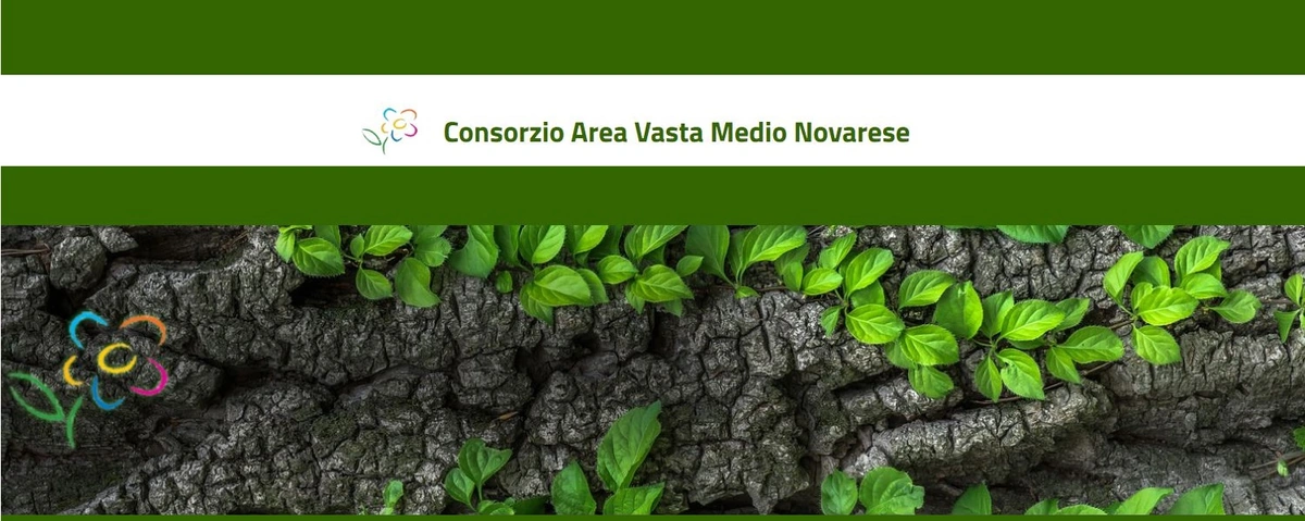 Immagine tratta dal sito del Consorzio Area Vasta Medio Novarese