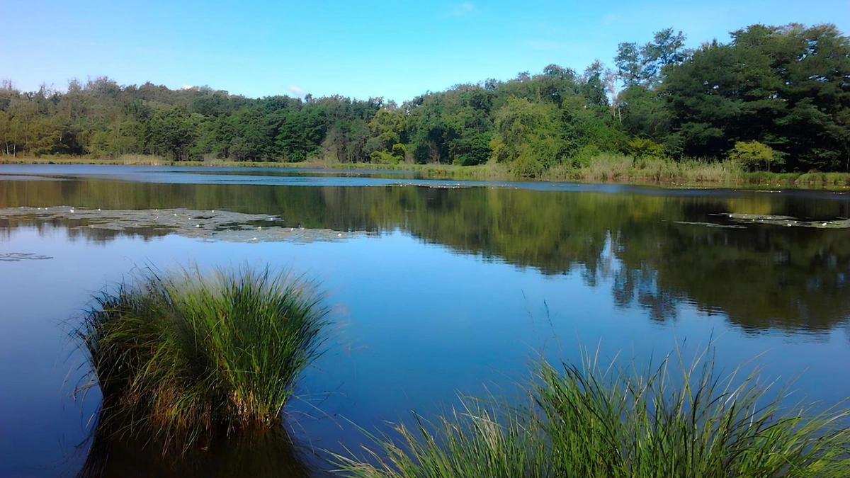 Foto dei Lagoni di Mercurago